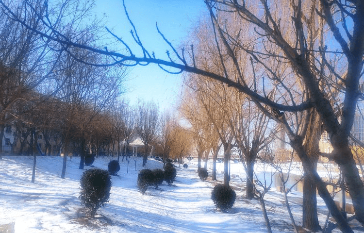 2021我的心愿(外七绝一首)