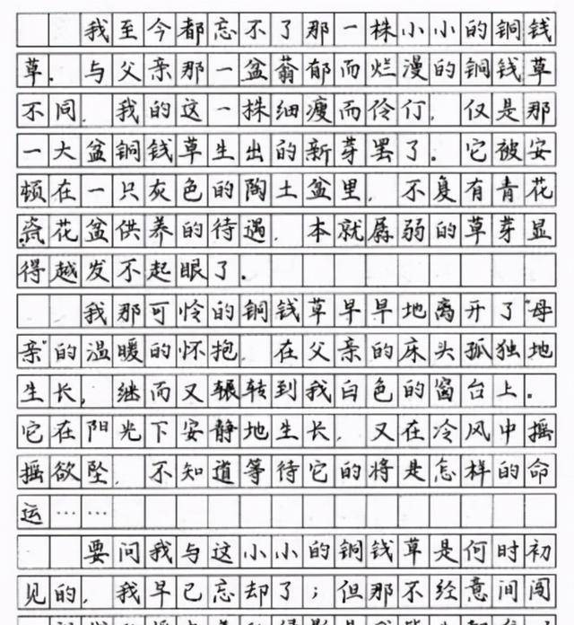 原创中学学霸的期中考试满分作文,不仅文采飞扬,而且字迹堪比教科书
