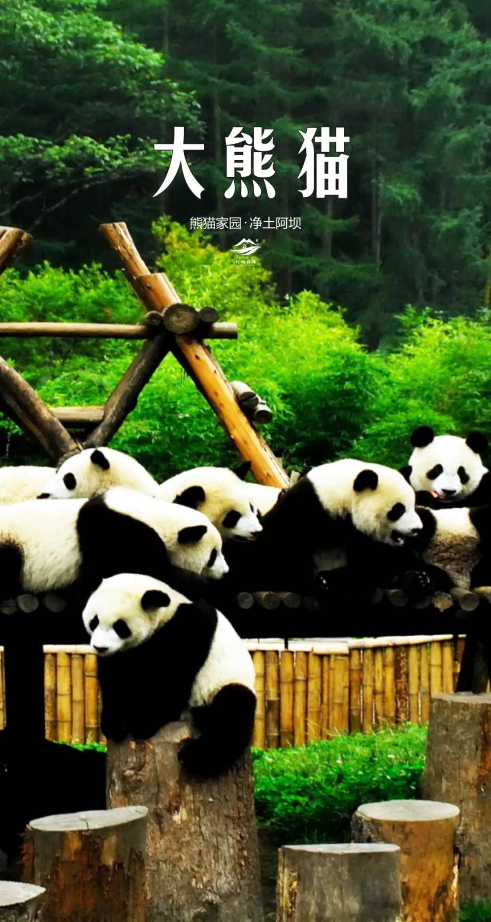 喜迎2021，“熊猫家园·净土阿坝”祝您新年快乐！