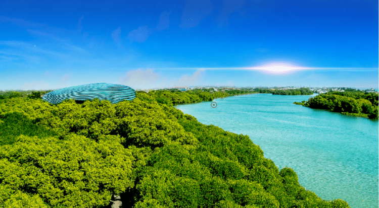 白鹭归家暖冬就在白鹭湾