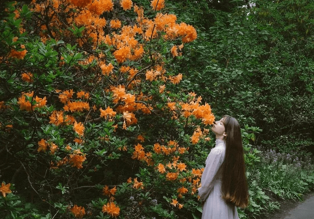 九美狐:靠一頭濃密秀髮吸粉10萬成為網紅…這小姐姐的頭髮我慕了!