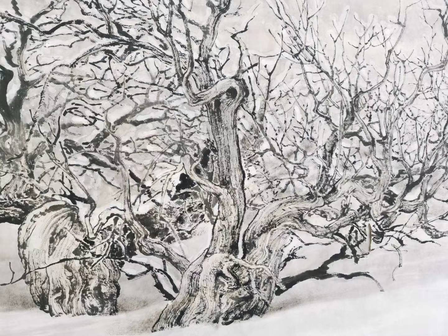 山水画以树为先时切记大处着眼小处着手