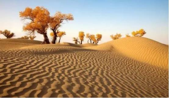 中国最大的沙漠，是中国的治沙奇迹，拥有新疆最丰富的地下资源