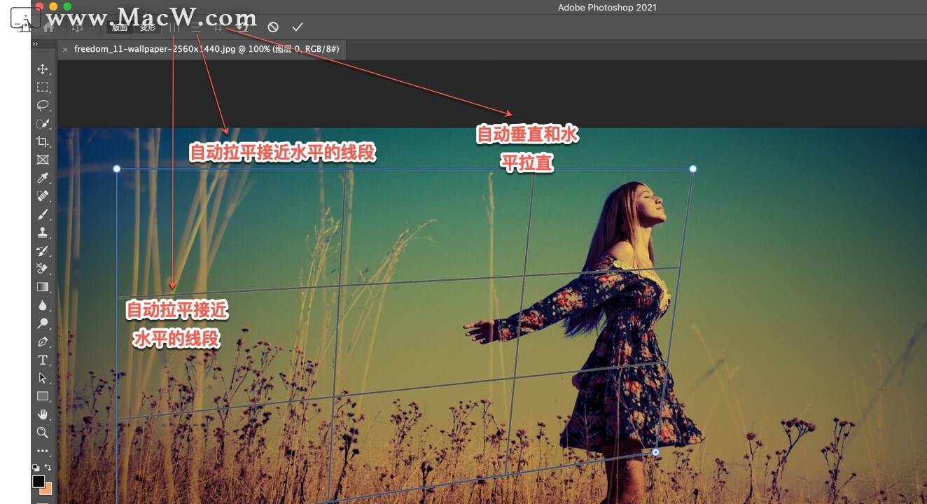 photoshop教程ps如何使用透视变形功能