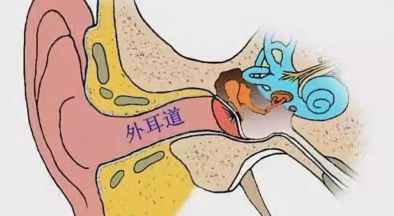 贵阳铭仁耳鼻喉医院可怕的真菌性外耳道炎女子耳朵奇痒检查竟有细菌