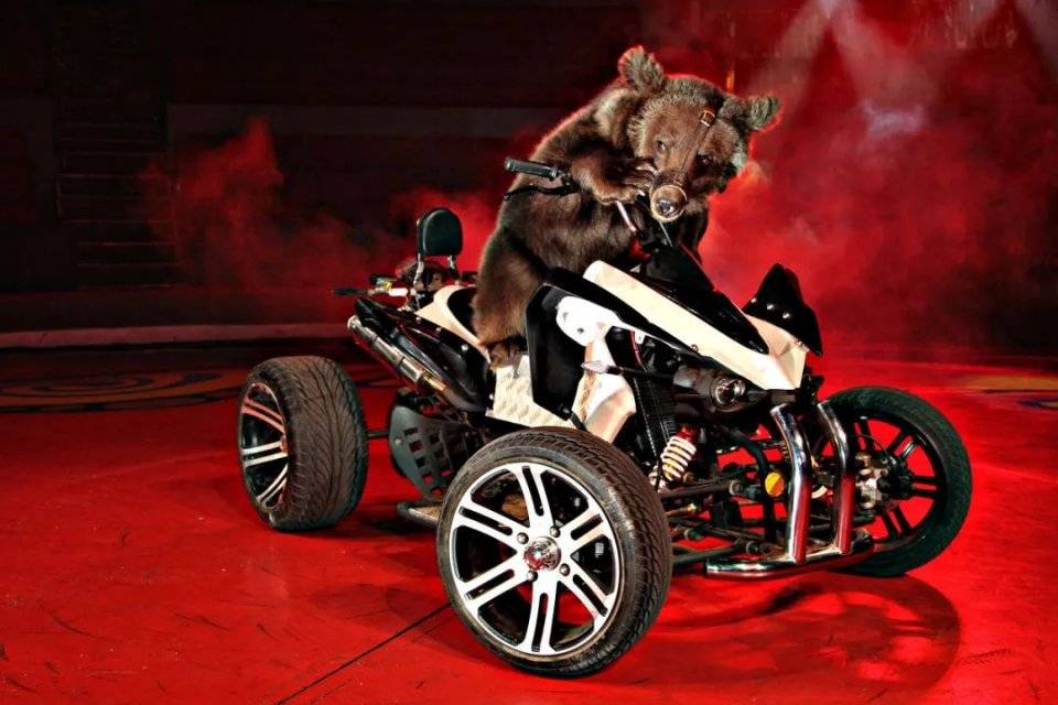 仁寿奇闻 |一顶巨型"帽子"空降万达,里面竟是