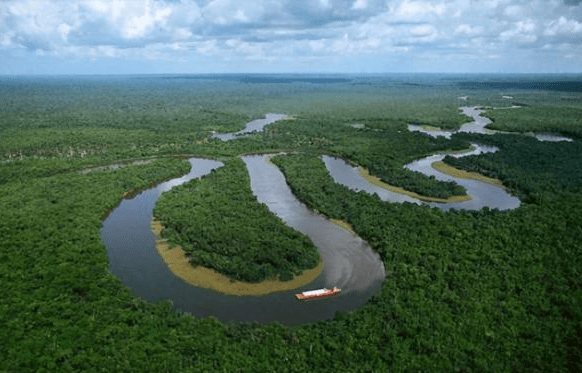 为什么人们不敢在亚马逊河游泳？只要有一个伤口，都可能导致截肢
