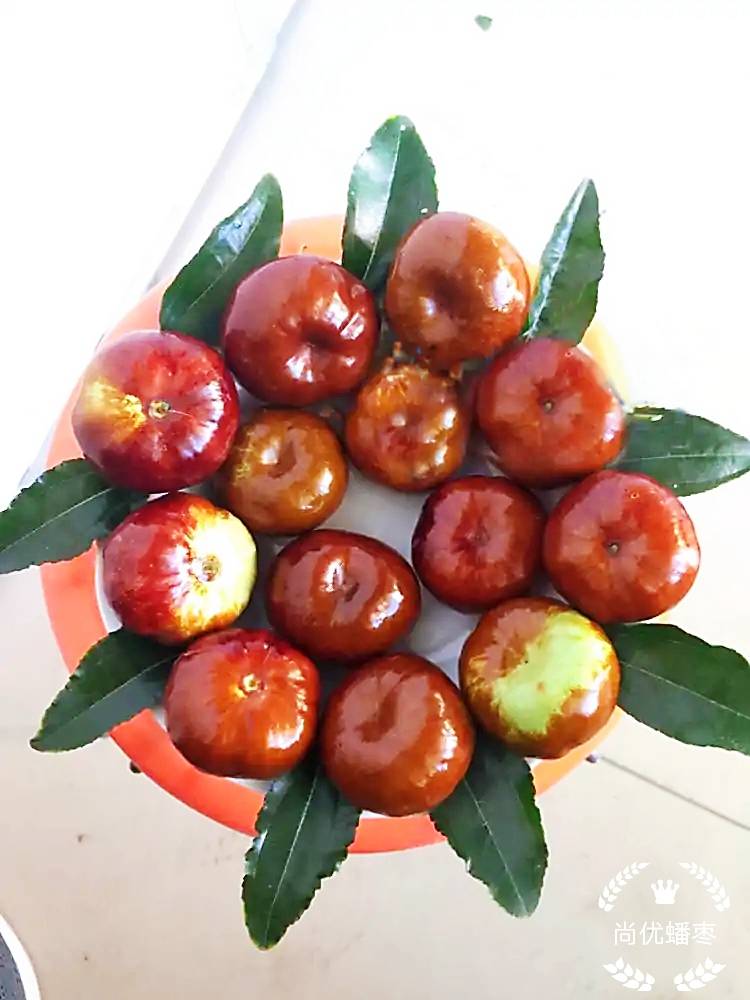 蟠枣和冬枣有哪些区别