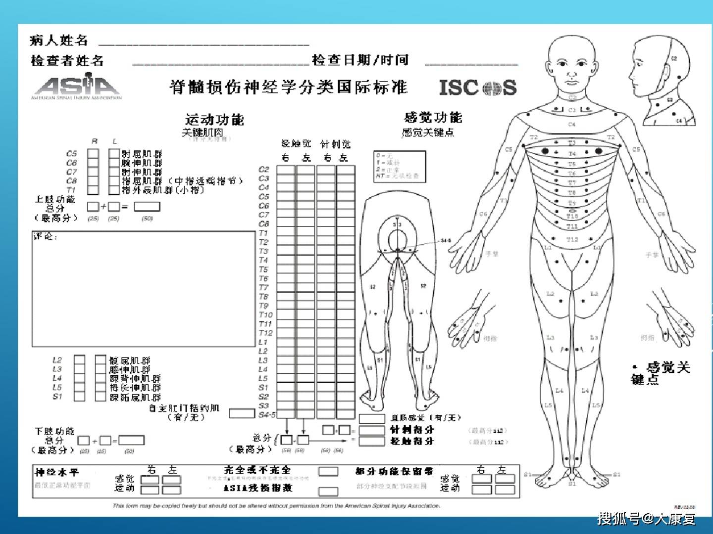 截瘫指数,附详细介绍