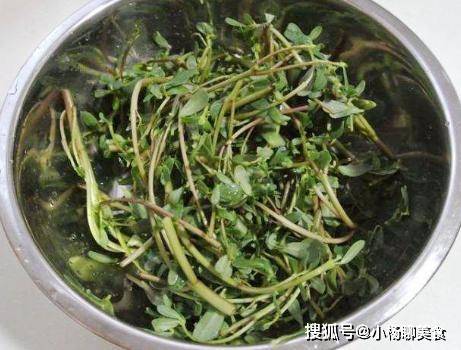原创蒸野菜直接加面粉难怪野菜易成坨教你正确做法蓬松更清香