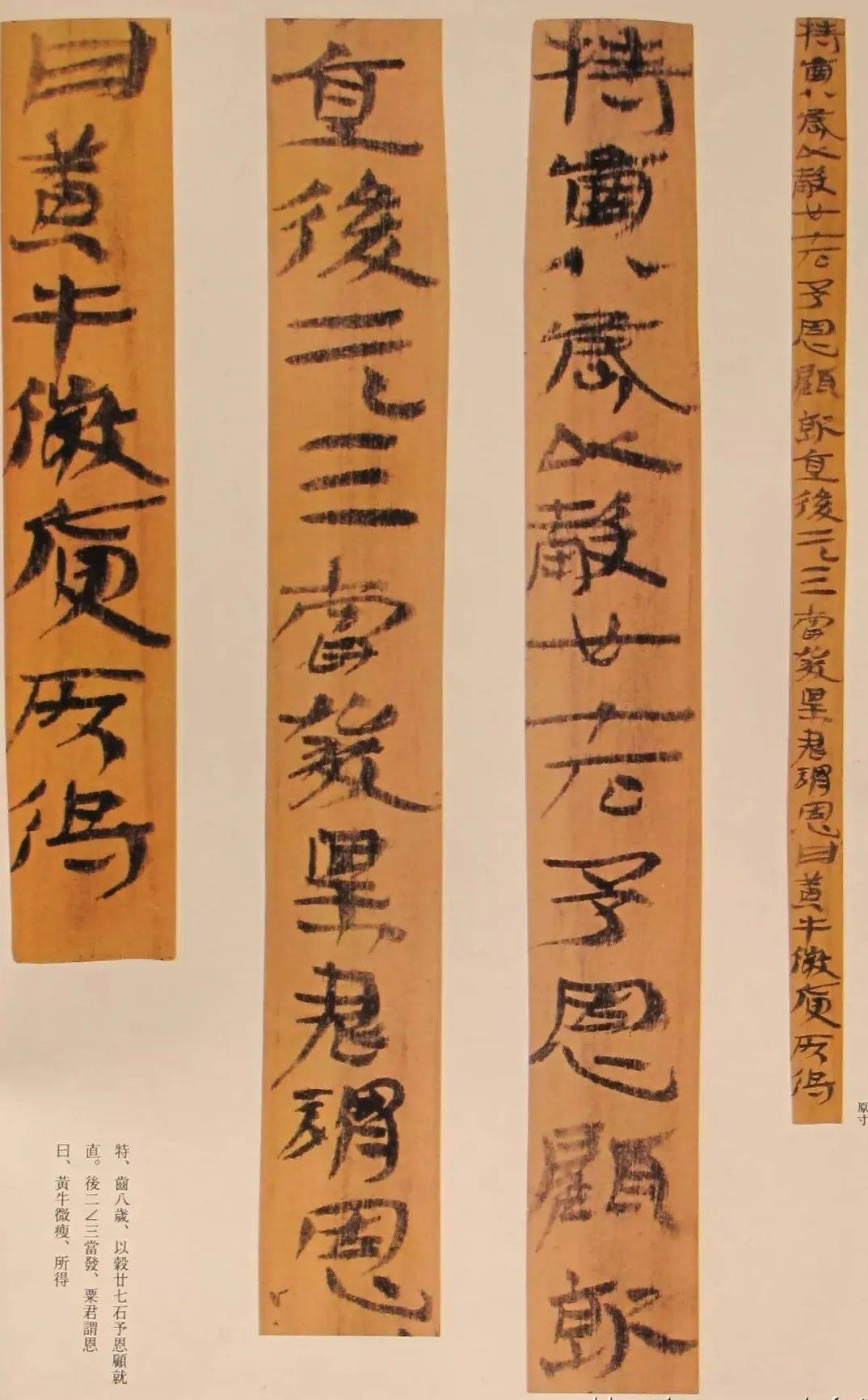 这草草的隶书,竟是书法国宝!_居延汉简