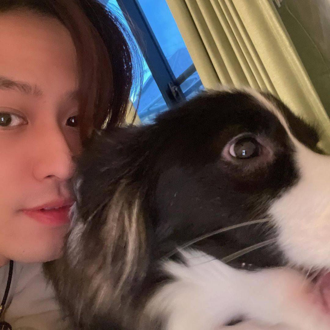 假面骑士帝骑演员现状,光夏海去找二骑流星了,海东夫人暂时息影_扮演