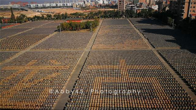 原創廈門最有味的文化園載入上海大世界基尼斯紀錄園中主角天天見