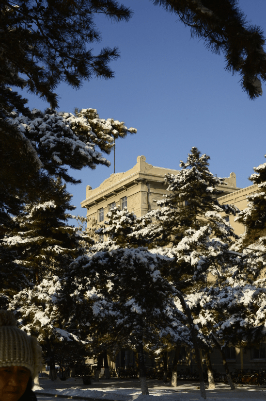 关注:东北大学学习环境怎么样?学风好不好?_手机搜狐网