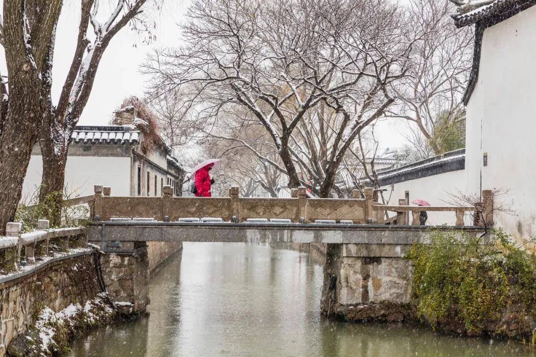 下雪的蘇州,水墨畫一般別具風味的江南園林