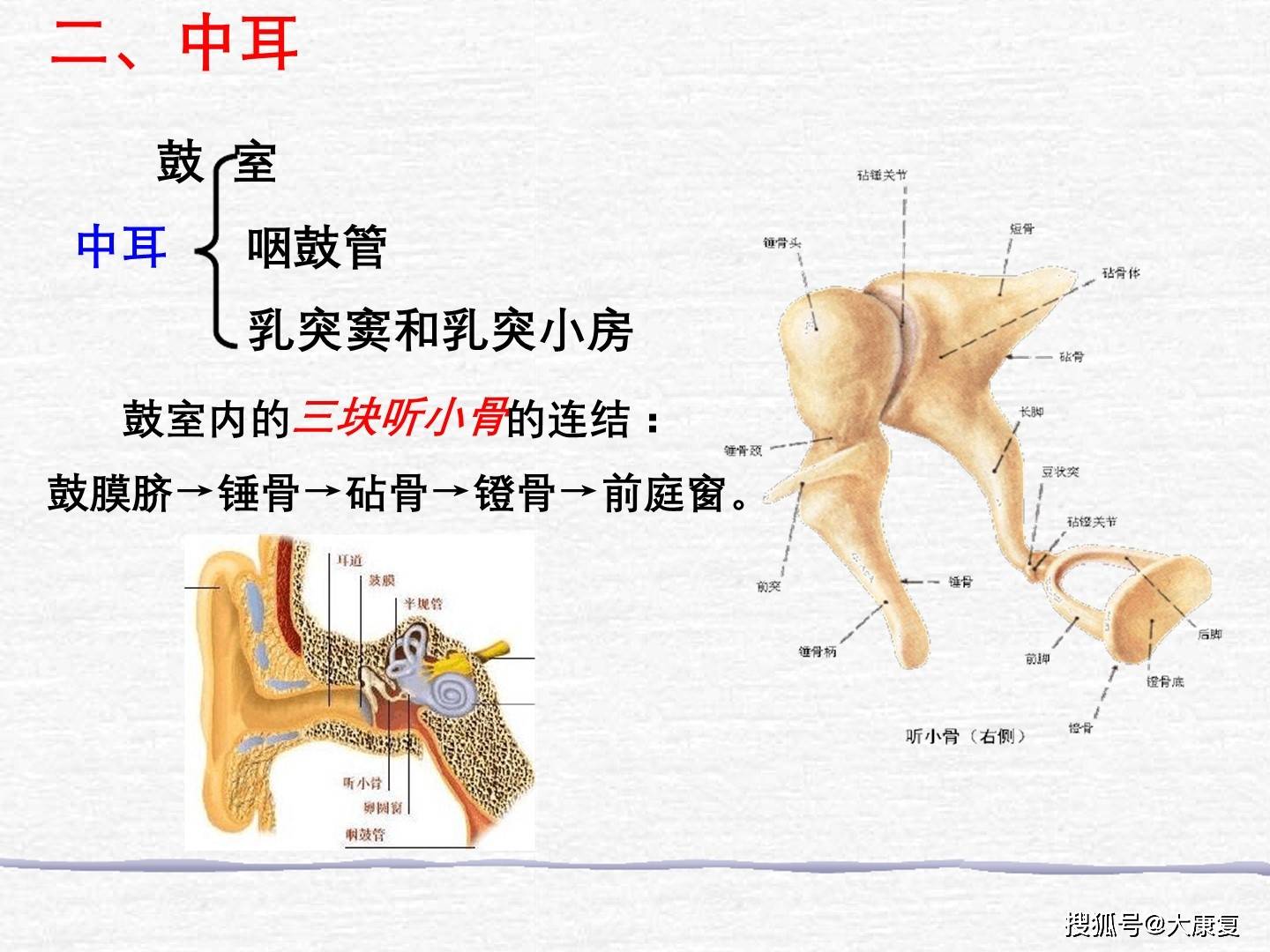 人体七大感觉系统图片