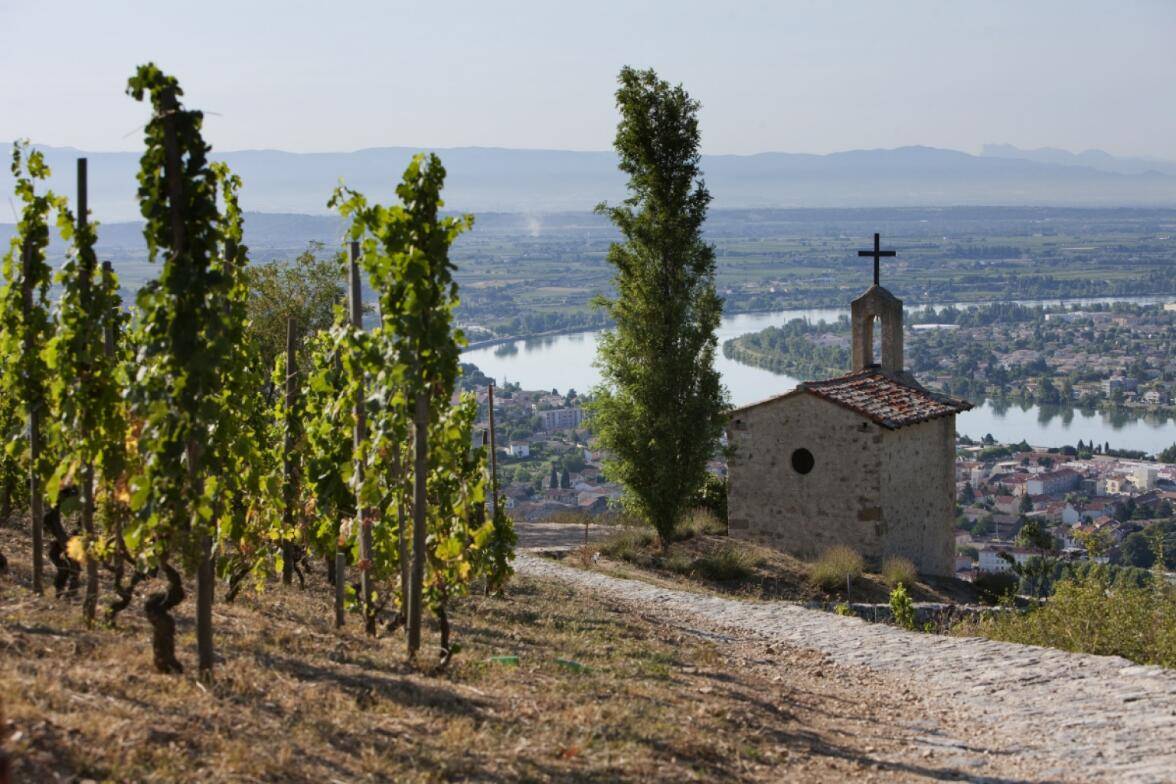罗纳河谷法国最大的法定红葡萄酒产区