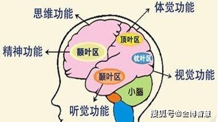 超常大腦大講堂:人的記憶是如何產生的?