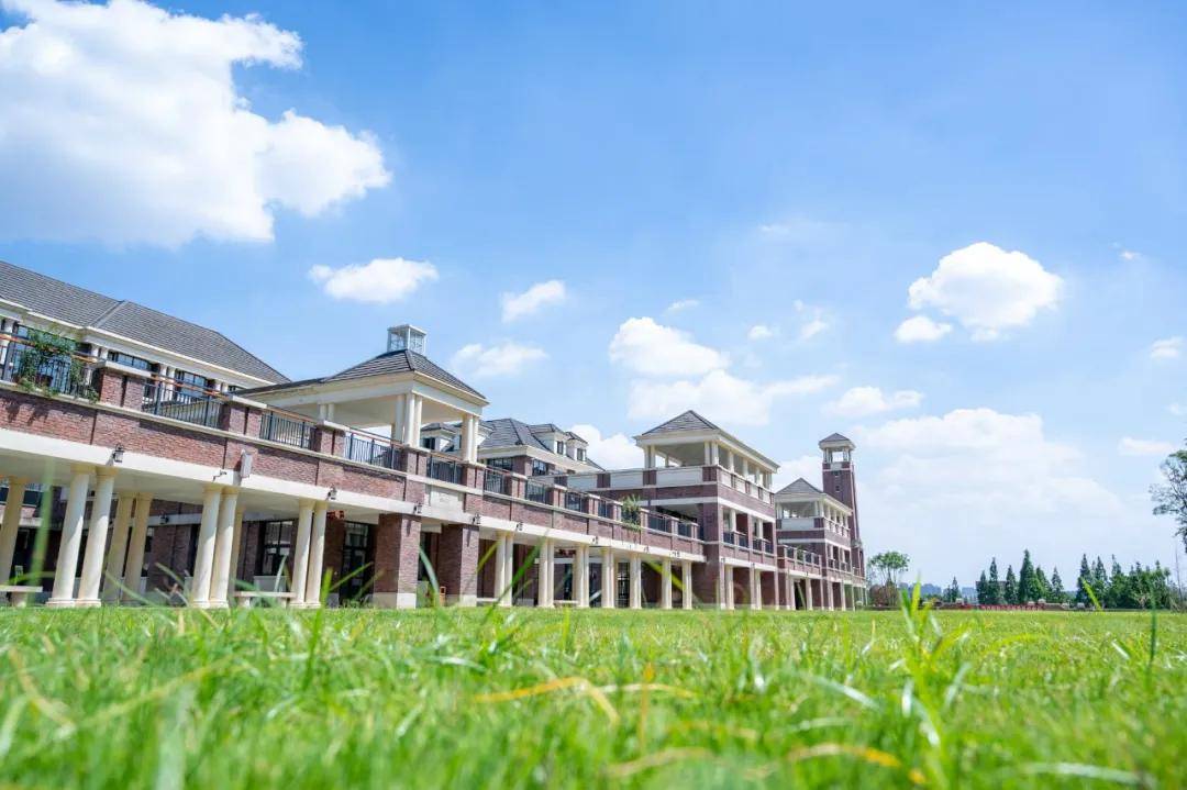 又会耍又会学这个才叫高质量学习