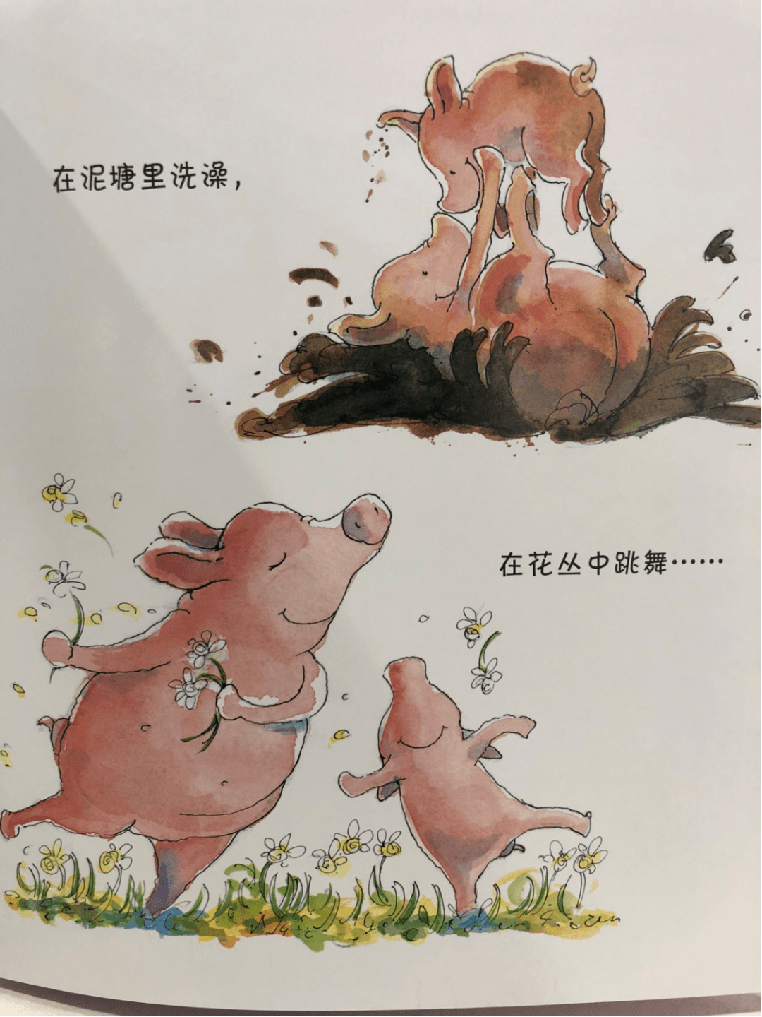 绘本推荐皮皮猪和妈妈