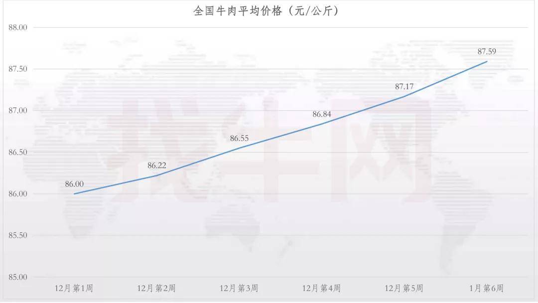 牛肉價格要起飛?同比上漲6.2%!漲勢能持續多久?_進口