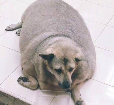 3b41f008627b43689b87406b560594d5.jpeg