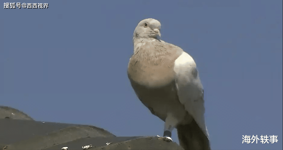 6e465ecada7c4e6a888c58ae0ab9c489.png