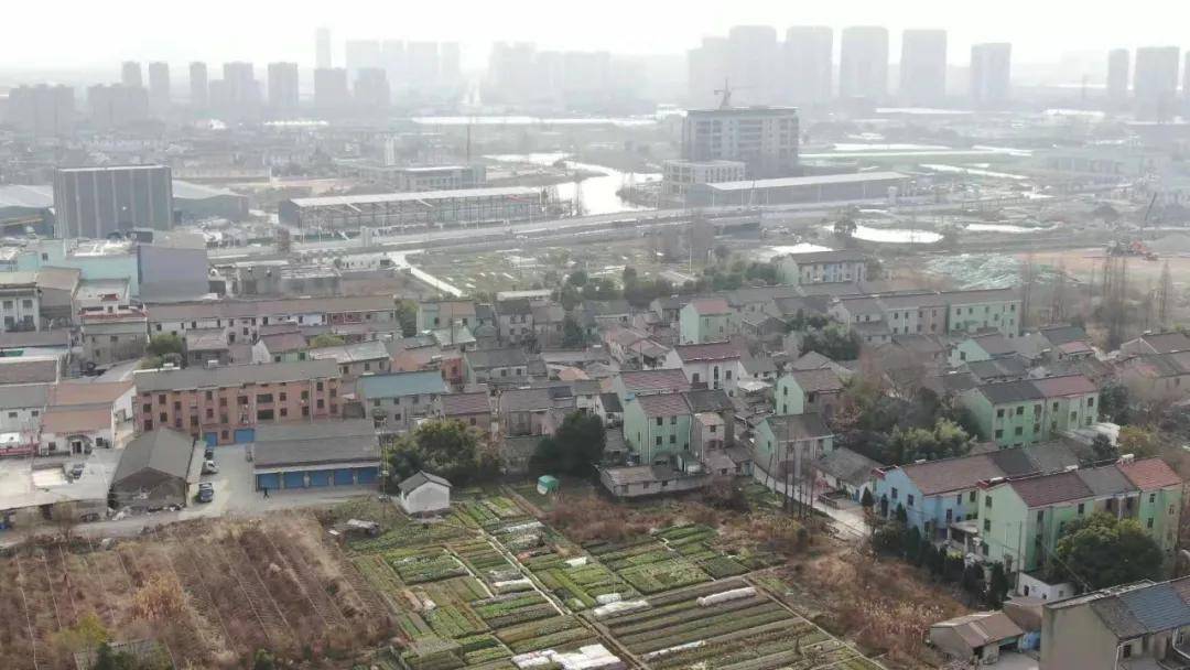 东浦人口_人口普查(2)