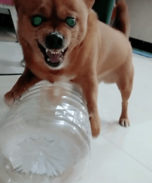 938112c6f4b1458d9235030df30c73e3.png