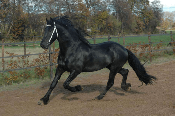 e11200f9453d45aea5c1df7e35dda2f4.png