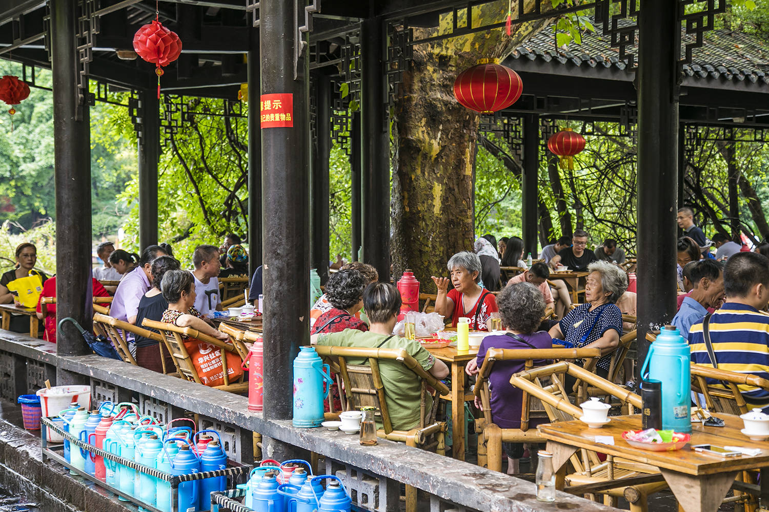 中国适合居住和养老的6个新一线城市，你最喜欢哪一个？