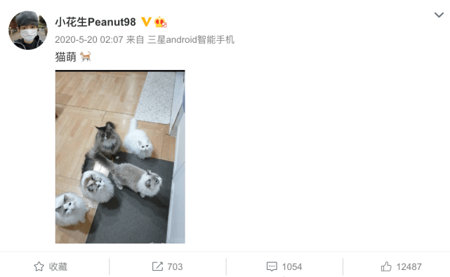 养猫大户小花生晒出一堆萌照 网友 果然是跟着猫走的职业选手 Peanut 养猫大户小花生晒出一堆萌照 网友 果然是跟着猫走的职业选手 Peanut
