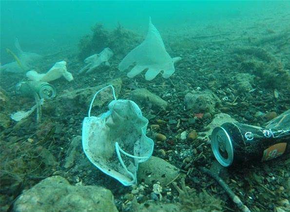 海龟吃鲨鱼 694ad54f1ca444b38467d09300d26807.jpeg