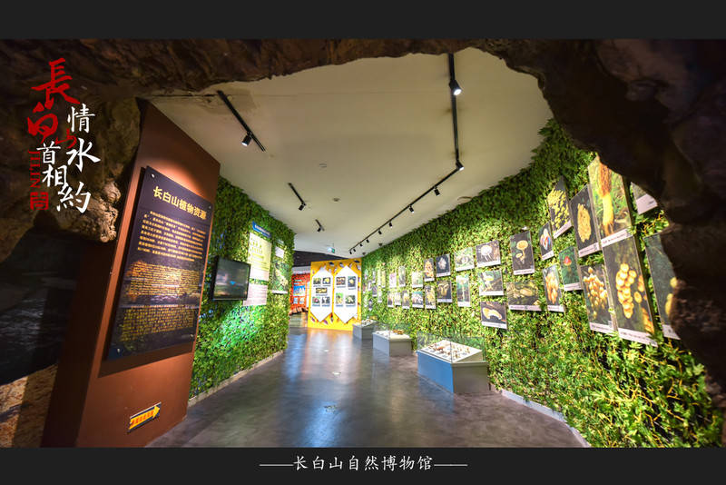 长白山自然博物馆图片