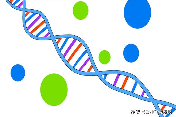 肥胖人口水_中国肥胖人口占比