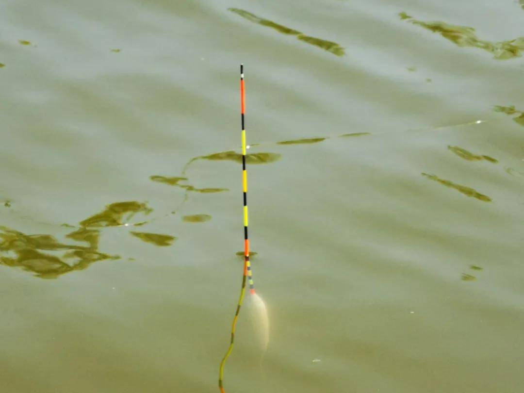 钓鱼时浮标为什么会斜?