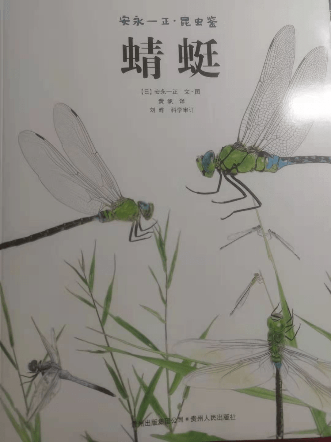 安永一正•昆虫鉴》：高水平的插画，给娃看一个全新的昆虫世界_手机搜狐网