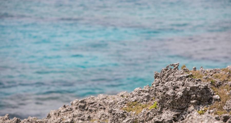 原材料价格普涨对家电行业利大弊大?-家电圈官网