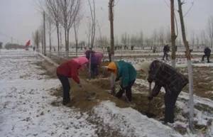 腊八加大寒,情暖意也长