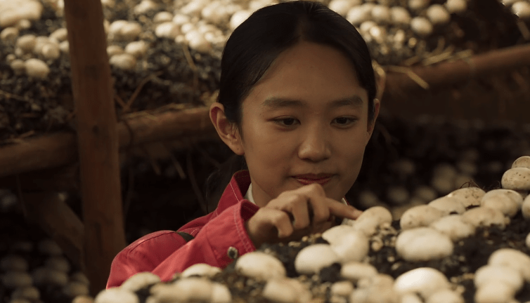 山海情:麦苗变了?5处细节说明她还爱着得宝,只是方式变了