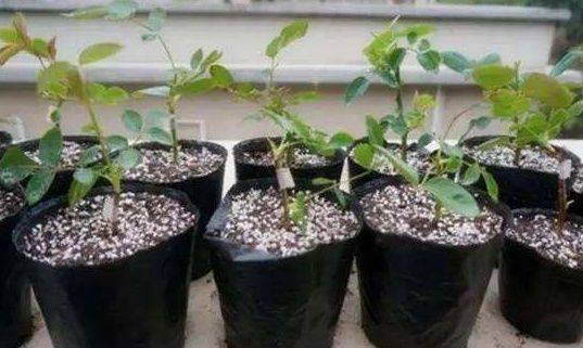 7221cb278bd34d88b0ff3fa1f6df855d.jpeg