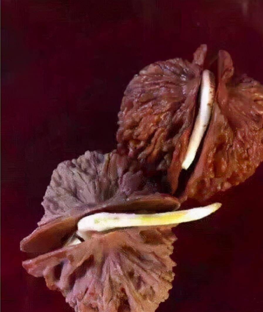 搞笑图片:只要功夫深,核桃也能"盘发芽".