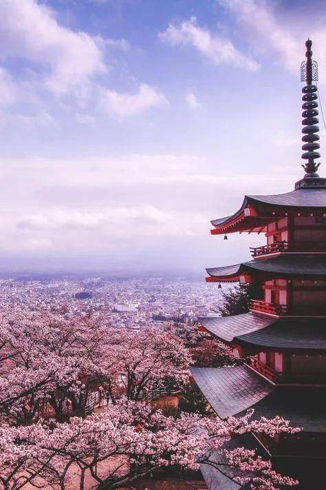 让人又爱又恨的旅行地，或开放电子签，你是不是去了个假日本？
