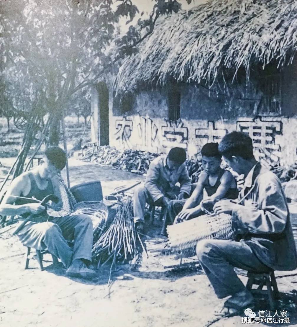 知青故事广阔天地贡献青春