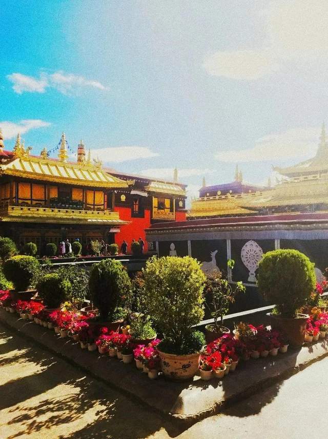 晒太阳、喝甜茶 日光之城拉萨,太适合过冬了!