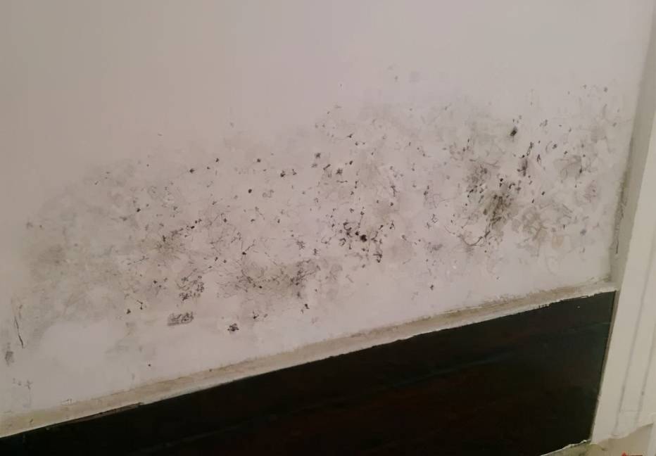 墙面反复反碱肯定是漏水问题没解决修补之前先检查这些位置