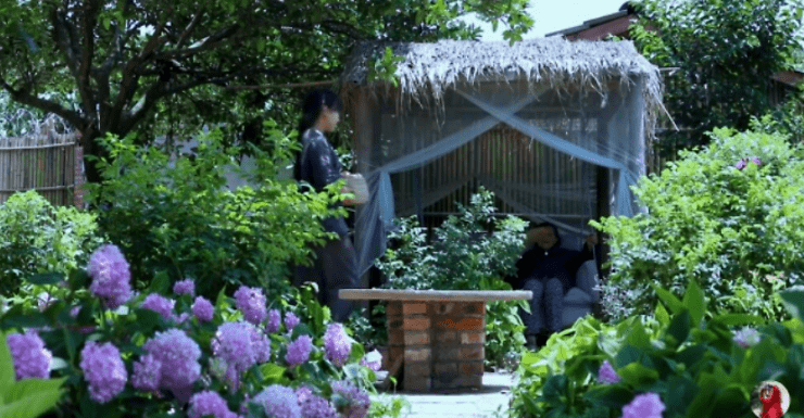 李子柒家的院子全景图图片
