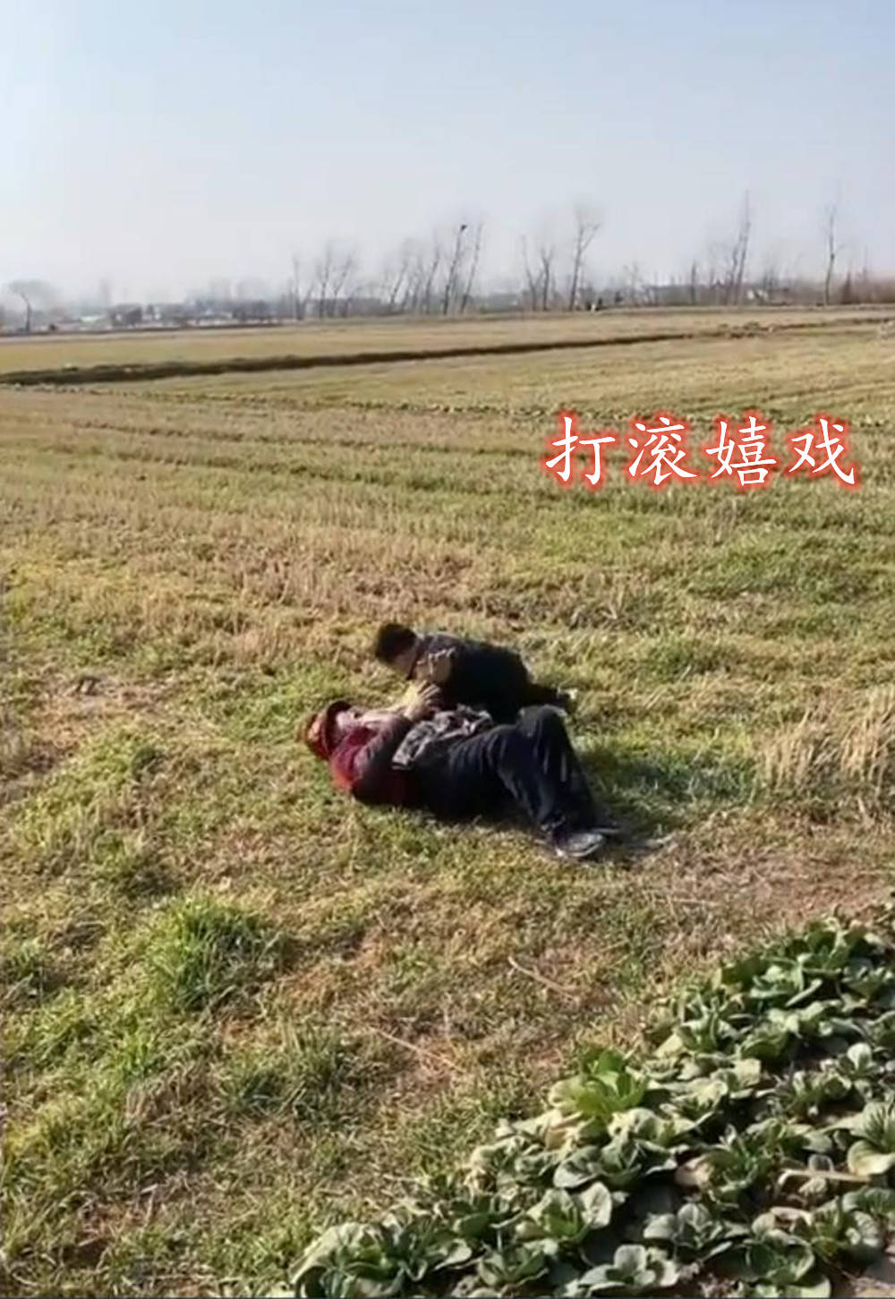 原创曾祖母带重孙在麦田里打滚嬉戏这才是童年该有的样子天伦之乐