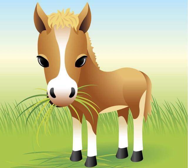 2021年属马人运势,穿什么样颜色的衣服最旺!12月29日福多财旺