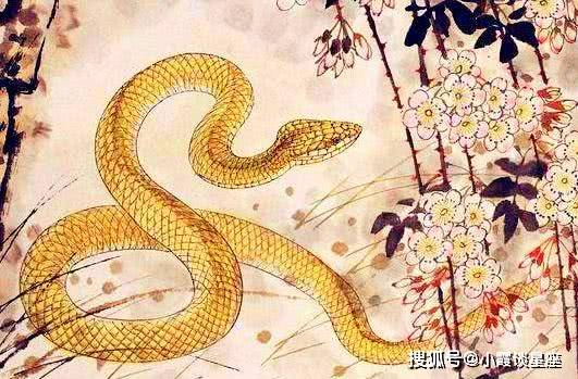 属蛇的怕属什么生肖 0c2498c9fa8c4a11949c9cdcda3deedd.jpeg
